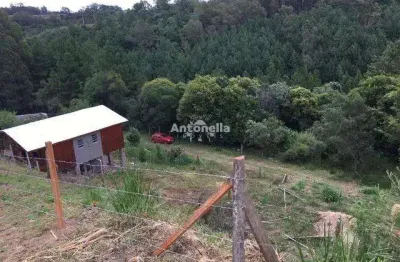 Terreno à venda no Desvio Rizzo, Caxias do Sul 