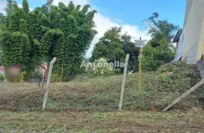 Terreno à venda no Treviso, Caxias do Sul 