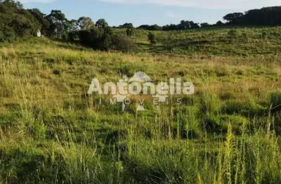 Terreno à venda na Vila Oliva (Distrito), Caxias do Sul 
