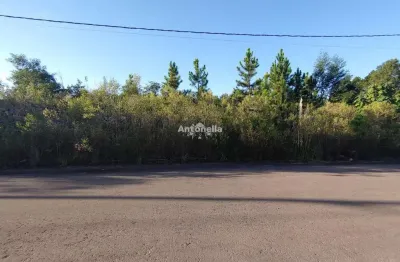Terreno à venda na Bela Vista, Caxias do Sul 