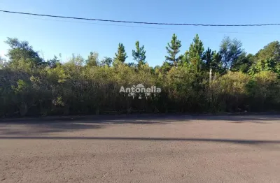 Terreno à venda na Bela Vista, Caxias do Sul 
