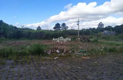Terreno à venda no Desvio Rizzo, Caxias do Sul 