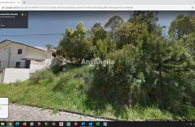 Terreno à venda no Santa Catarina, Caxias do Sul 