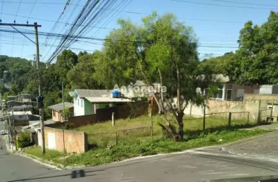 Terreno à venda na Cidade Nova, Caxias do Sul 