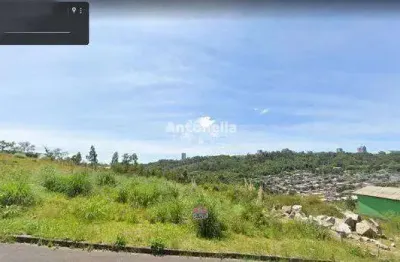 Terreno à venda no Santa Catarina, Caxias do Sul 
