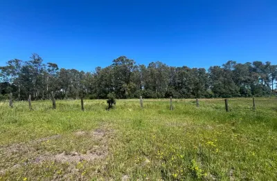 Terreno à venda no Desvio Rizzo, Caxias do Sul 