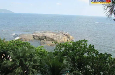 Apartamento à venda, 66 m² por r$ 550.000,00 - ilha porchat - são vicente/sp