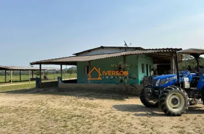 Fazenda à venda na Rodovia Br Cento E Dezesseis, 1, Zona Rural, Juquiá