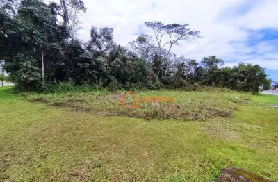 Terreno em condomínio fechado à venda na Rua Dezenove, 701, Jardim São Luis, Peruíbe