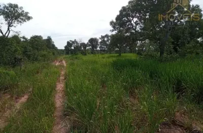 Fazenda a venda, região ribas do rio pardo/ms - 82 alqueires