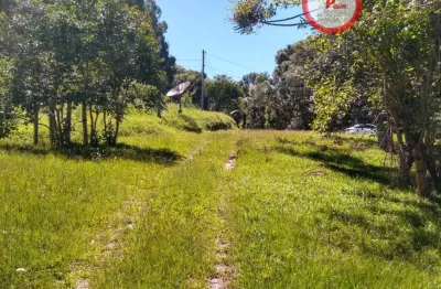 Chácara / sítio com 2 quartos à venda na São Gotardo, Vila Seca, Caxias do Sul
