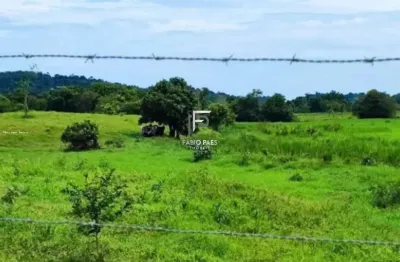 Fazenda para venda em cachoeiras de macacu, área rural
