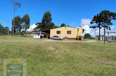 Chácara para eventos à venda, com 4500 m² por r$ 1.500.000 - borda do campo - piraquara/pr