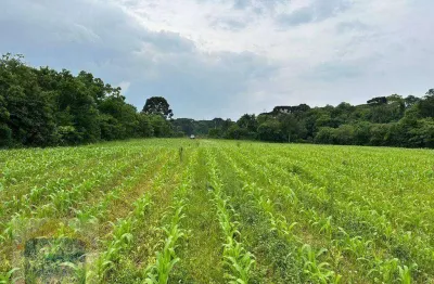Terreno de 29.700m² no umbará – ideal para condomínios
