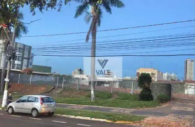 Terreno para alugar, 1000 m² por r$ 16.000,00/mês - vila são paulo - araçatuba/sp