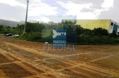 Terreno residencial 0 quarto para venda jardim são paulo, são carlos