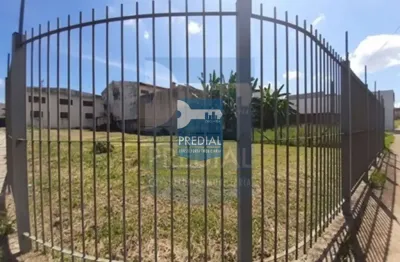 Terreno residencial 0 quarto para locação jardim são carlos, são carlos