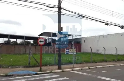 Terreno residencial 0 quarto para venda jardim são paulo, são carlos