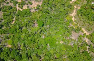 Terrenaço vista mar com 10.567 m² em arraial dajuda!