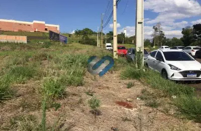 Terreno comercial para alugar na Mabio Palhano, SN, Gleba Palhano, Londrina