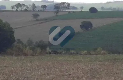 Chácara / sítio com 1 quarto à venda na Avenida das Maritacas, sn, Indusville, Londrina