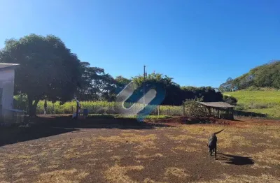 Chácara / sítio com 1 quarto à venda na Patrimonio Tigrinho Assai, S/N, Zona Rural, Assaí