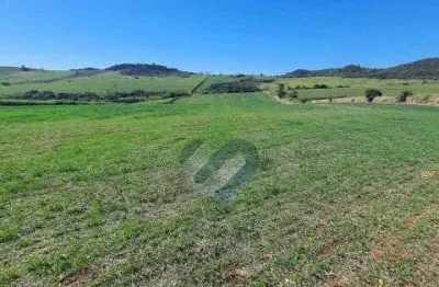 Chácara / sítio com 1 quarto à venda na Patrimonio Jangada, S/N, Zona Rural, Assaí
