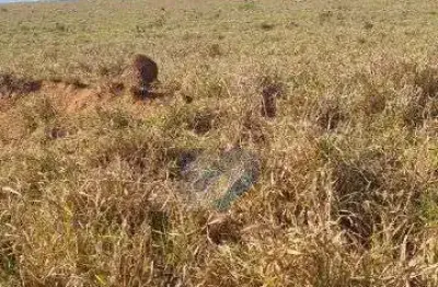 Chácara / sítio com 1 quarto à venda na Fazenda Em Colinas To, S/N, Zona Rural, Colinas do Tocantins