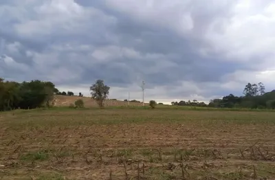 Chácara / sítio à venda na Estrada Municipal José Corrêa de Moraes, 130, Chapada Grande, Itapetininga