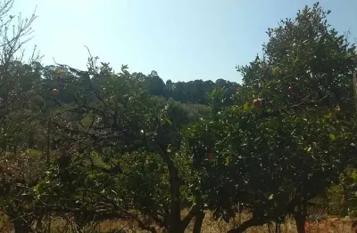 Casa com 2 quartos à venda em Eugênio Ferreira, Canela 