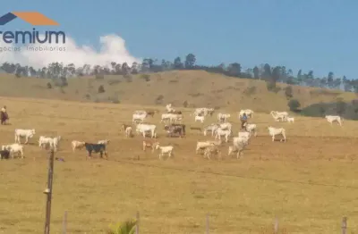 Fazenda com 4 dormitórios à venda, 968000 m² por r$ 15.000.000,00 - anhumas - vargem/sp