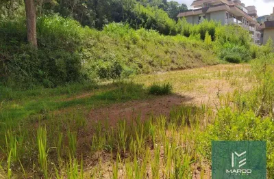 Terreno à venda, 20000 m² por r$ 2.000.000,00 - várzea - teresópolis/rj