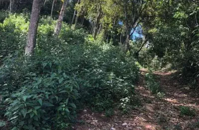 Terreno à venda, 4000 m² por r$ 150.000,00 - pessegueiros - teresópolis/rj