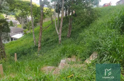 Terreno à venda, 600 m² por r$ 220.000,00 - vargem grande - teresópolis/rj