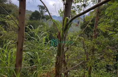 Terreno à venda, 2938 m² por r$ 150.000 - prata - teresópolis/rj