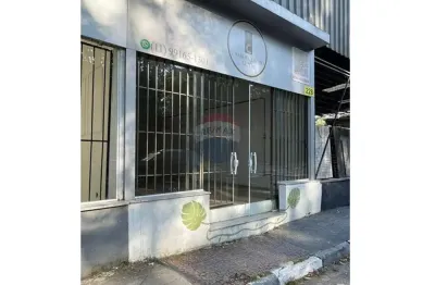 Barracão / Galpão / Depósito para alugar na Rua Luís Carlos Gentile de Laet, 228, Horto Florestal, São Paulo