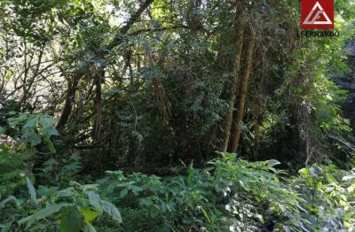 Terreno à venda, 30.000 m² por r$ 400.000 - centro - luiz alves/sc