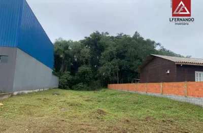 Terreno à venda, 360 m² por r$ 131.250 - figueira - gaspar/santa catarina