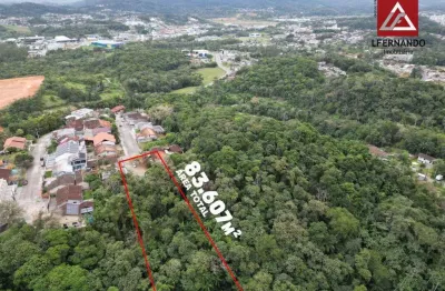 Terreno à venda, 83.607 m² por r$ 8.500.000 - fortaleza - blumenau/sc