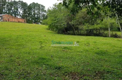 Sítio com 2 dormitórios à venda, 16800 m² por r$ 349.000,00 - morungava - gravataí/rs