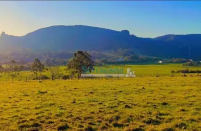 Terreno à venda, 3838 m² por r$ 212.000,00 - santa cruz - gravataí/rs