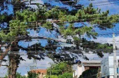 Terreno à venda, 357 m² por r$ 1.200.000,00 - bom princípio - gravataí/rs