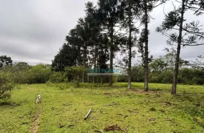 Sítio com 3 dormitórios à venda, 42000 m² por r$ 1.190.000,00 - neópolis - gravataí/rs