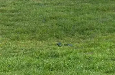 Terreno em condomínio fechado à venda na Avenida Comend. Gumercindo Barranqueiros, 1215, Jardim Santa Teresa, Jundiaí