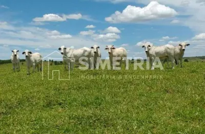 Terras em anhembi/sp, prontas para pasto!  área terreno 26 alqueires paulista