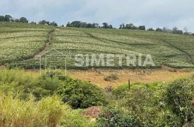 Venda – fazenda de café na região de santo antônio do amparo - mg! fzv0722505