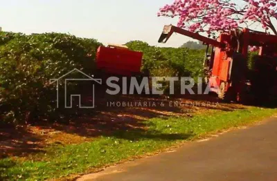 Fazenda com 2 salas à venda na Rodovia Comandante João Ribeiro De Barros, km 412, Zona Rural, Garça