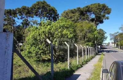Terreno à venda, 5856 m² por r$ 7.905.000,00 - centro - campo largo/pr