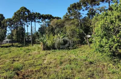 Terreno central para incorporação à venda, 2100 m² por r$ 3.135.000 - centro - campo largo/pr