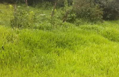 Chácara com 25.000 m² | santo antônio do descoberto | r$ 250.000